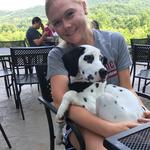 Bold Rock Nellysford Cidery