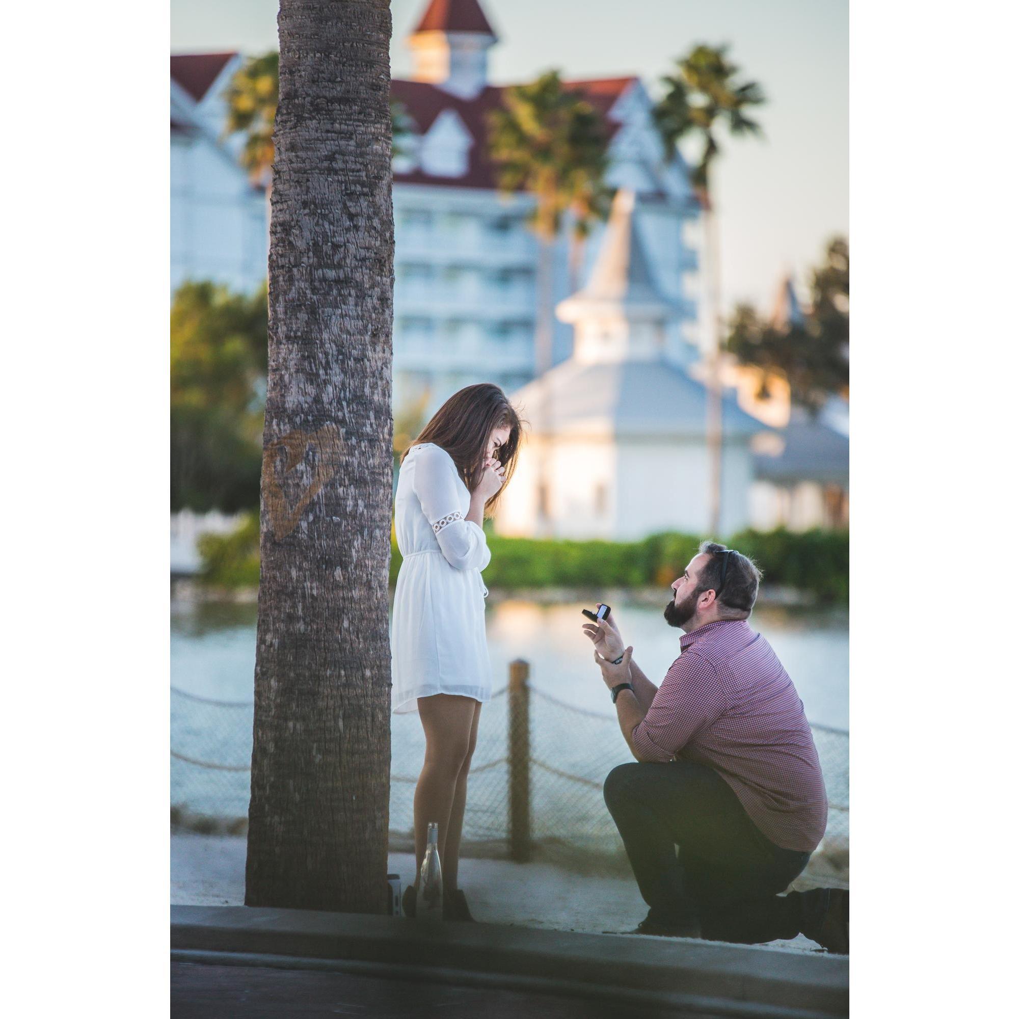Him: "Natasha Lopez, will you marry me?"

Me: "YES! Of course!!"