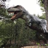 The Dinosaur Park