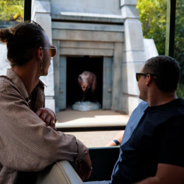 Jurassic Park Tour
