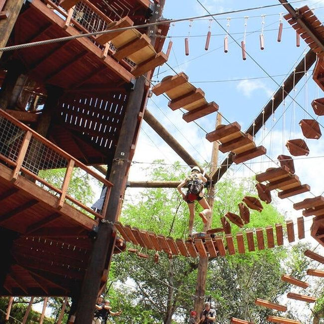 Ropes Course and Obstacle Adventure