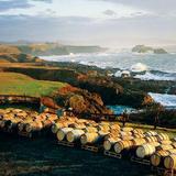 Pacific Star Winery