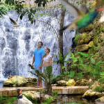 XCARET