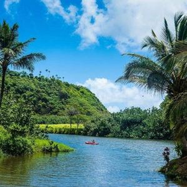 Kayaking the Wailua River & Secret Falls