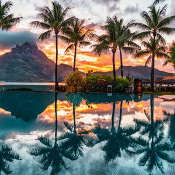 Honeymoon Airfare