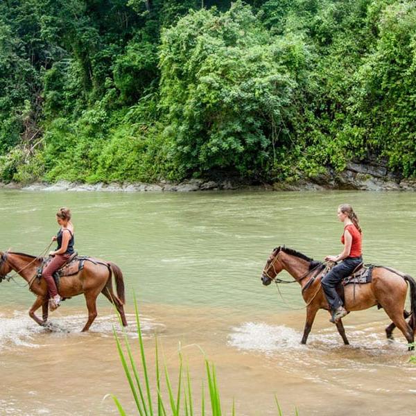 Horseback Riding Tour for Two on our Honeymoon