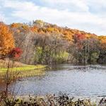 Richardson Nature Center