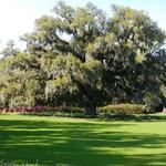 Airlie Gardens