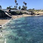 La Jolla Cove