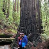 Muir Woods