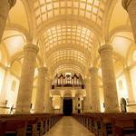 Catedral San Ildefonso