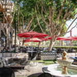 Drink on Patio at Olive & Ivy