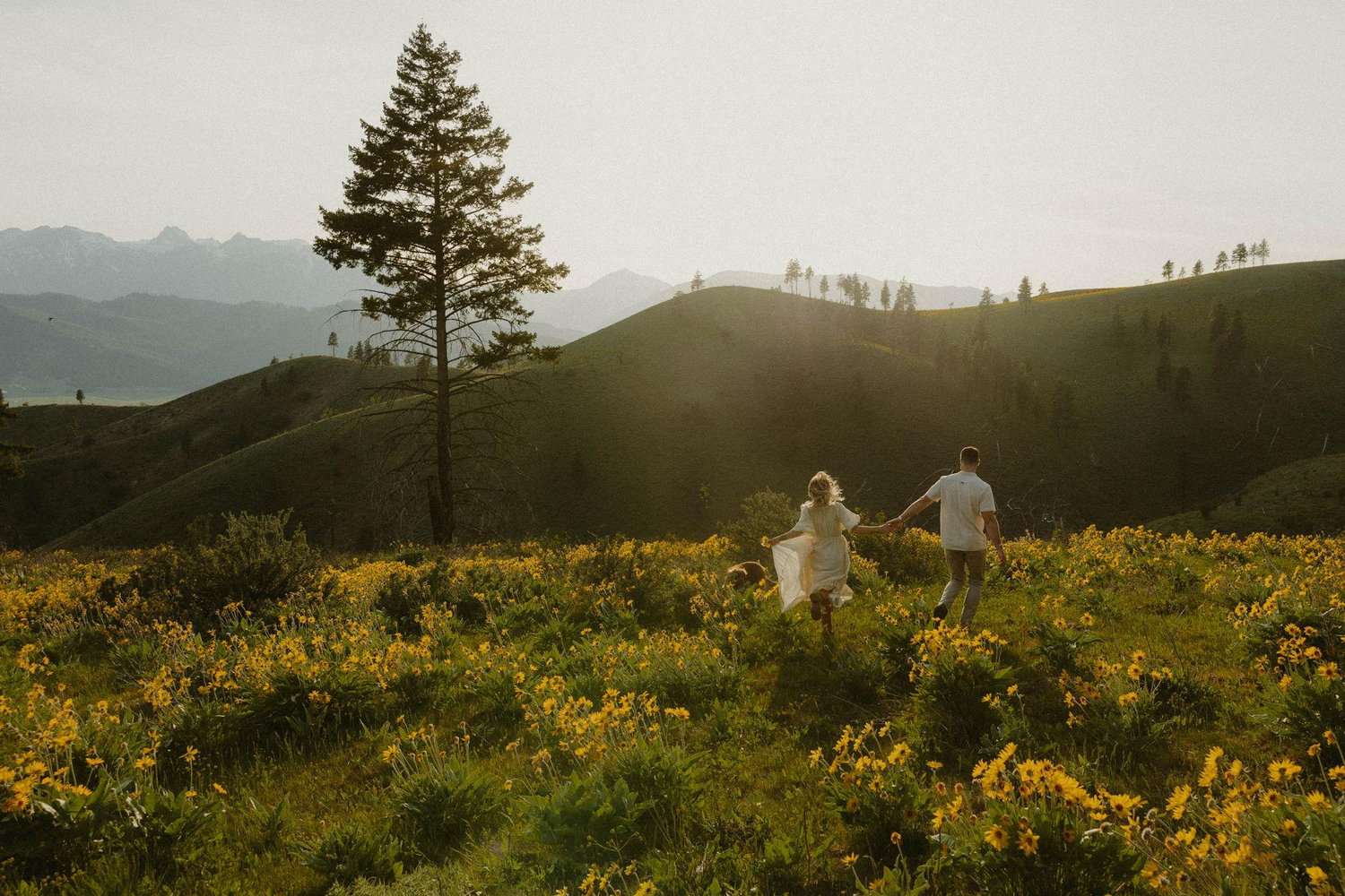 The Wedding Website of casandra port and Max Saffle