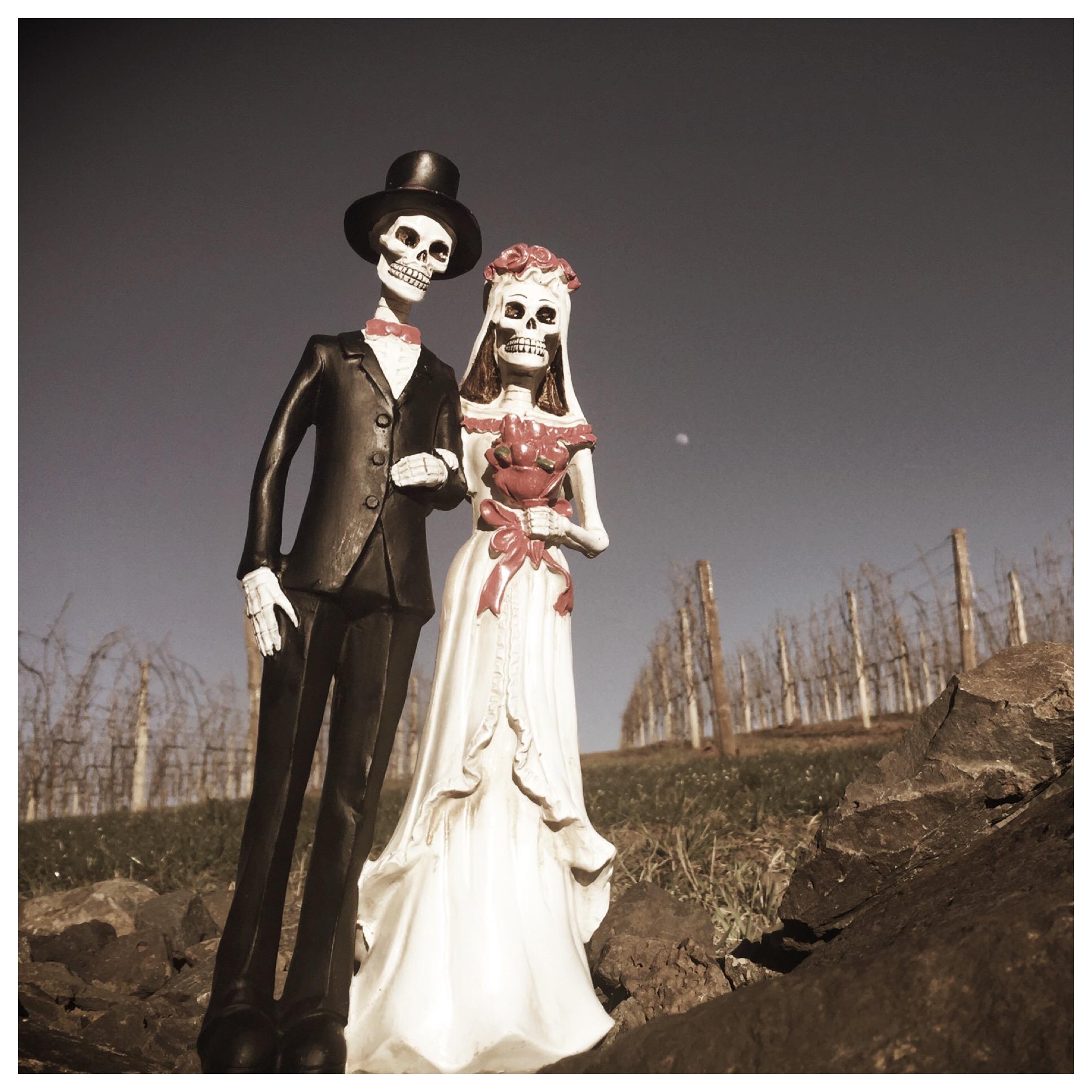 The Wedding Website of Roseana Granado and Michael Neely