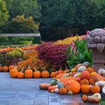 Dallas Arboretum & Botanical Garden