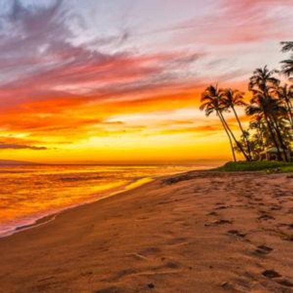 Our Hawaii Honeymoon Fund