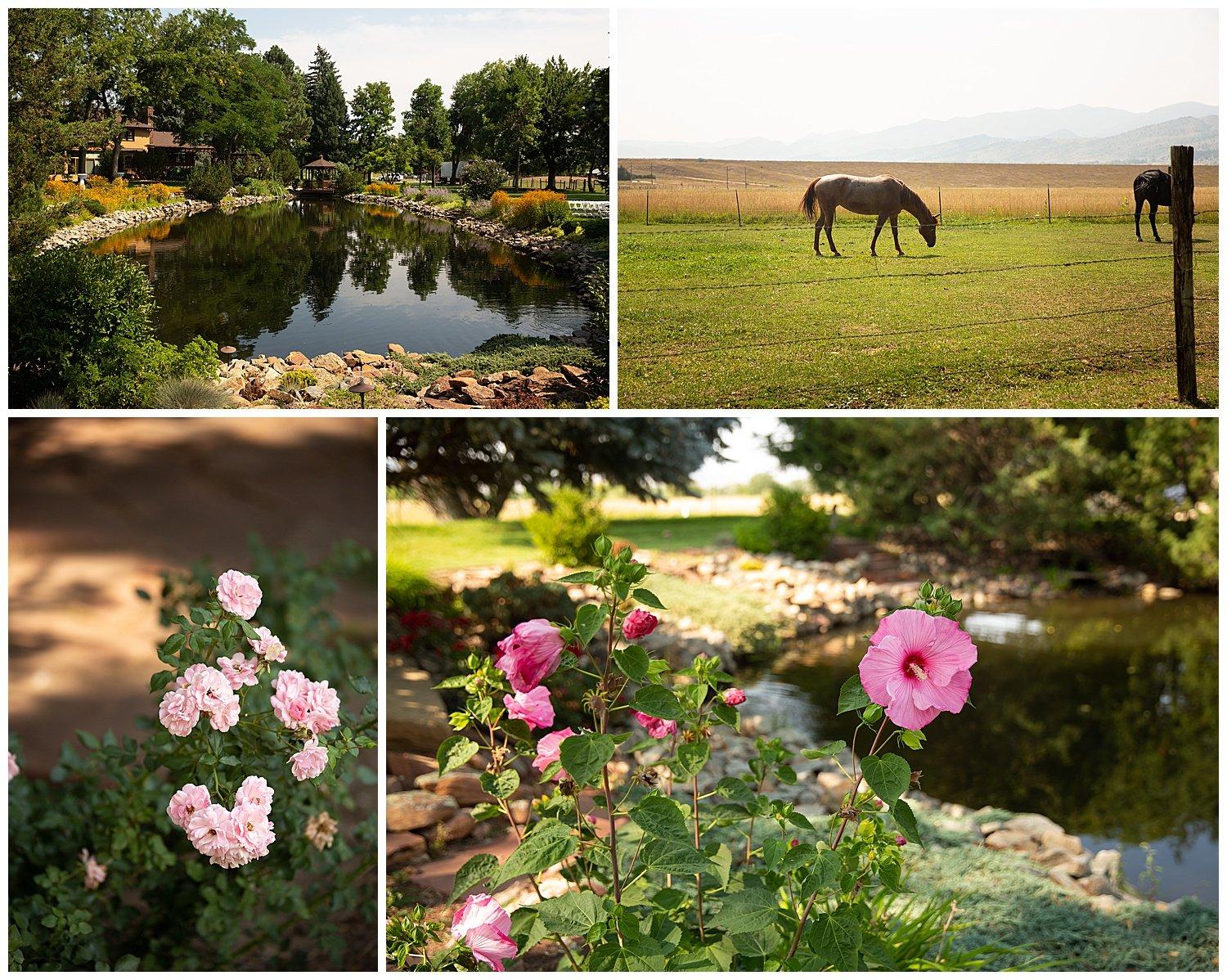 The Wedding Website of Stephen Hollis and Jade Harris