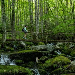 Smoky Mountains Honeymoon