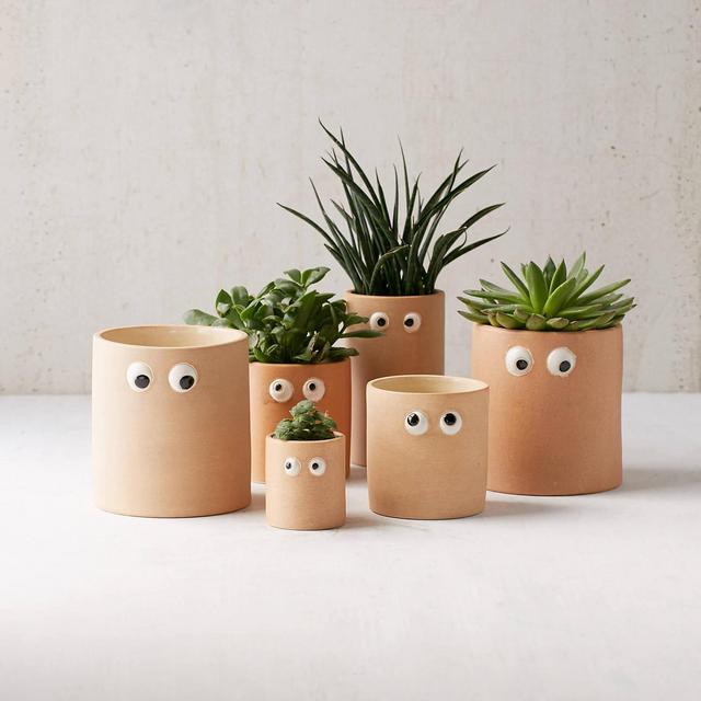 Henry Googly Eye Planters