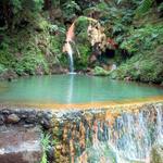 Take a dip in the hot springs