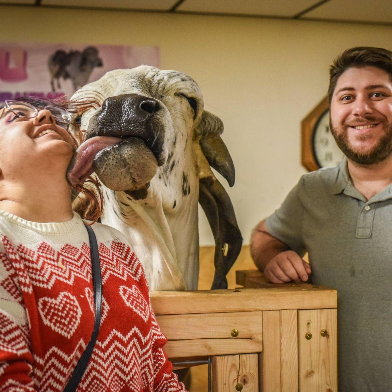While meeting some of the other animals, Carolina's brother Andres captured this hilarious moment