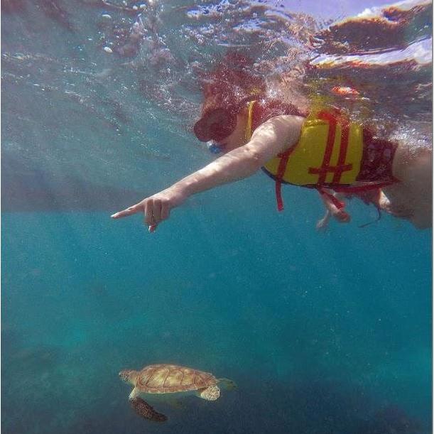 Snorkeling in Cancun. Brandie was pointing out another turtle and missed the one right below her!