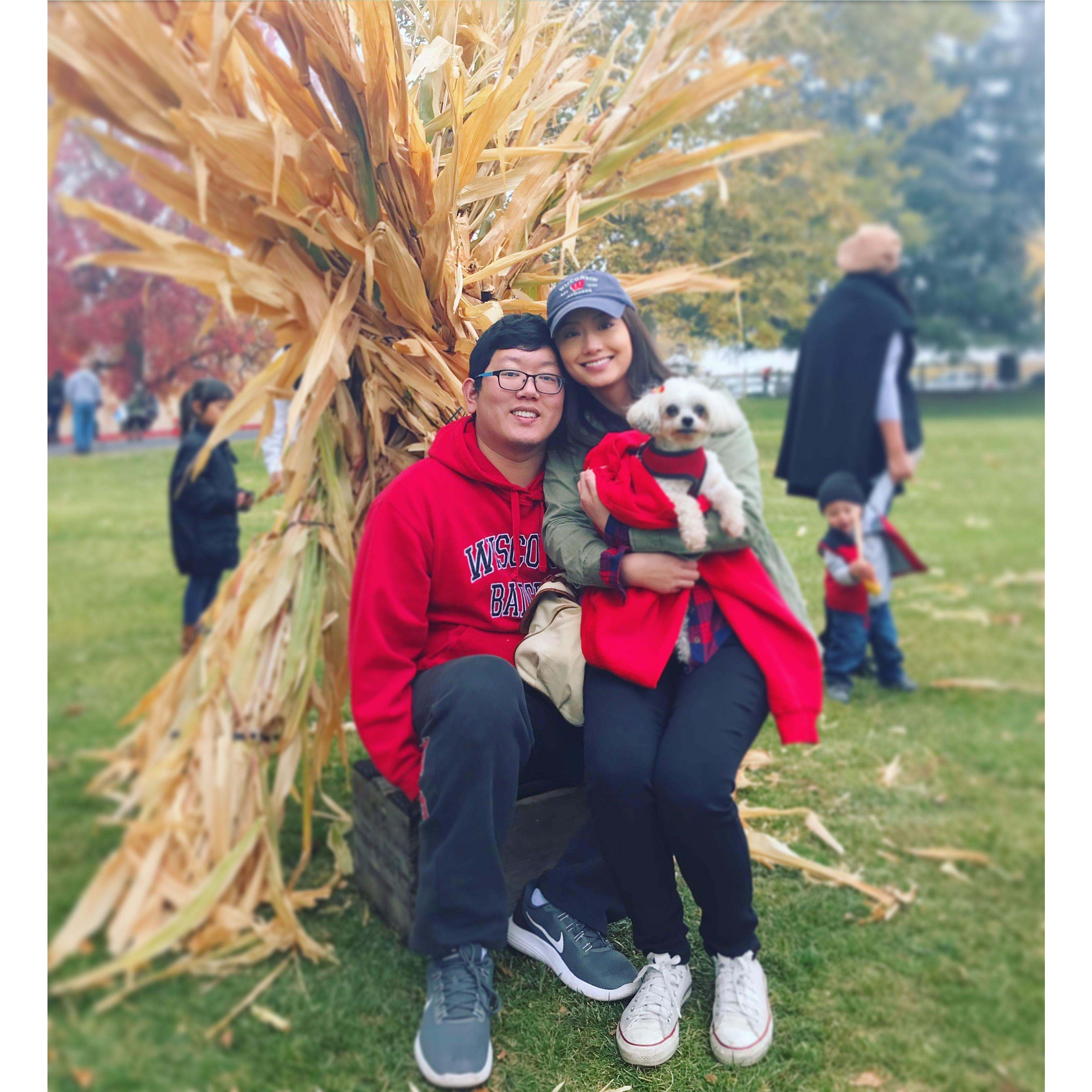 We love Coco even though she has a Napoleon complex and bites ankles :)
