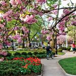 The Morristown Green