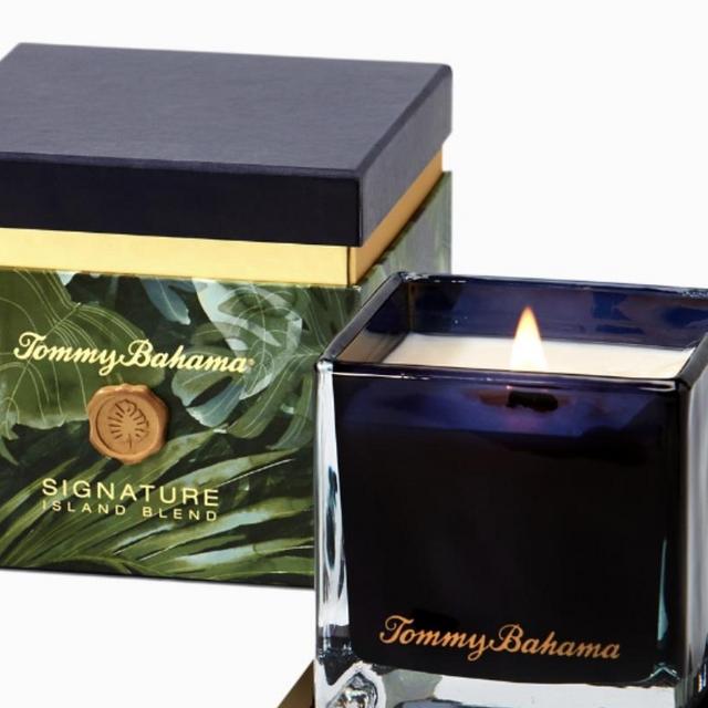 Island Blend Villa Fronds Jar Candle with Wood Base