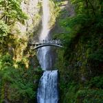 Half Day Excursion: Multnomah Falls and the Columbia River Gorge