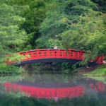 Duke Gardens