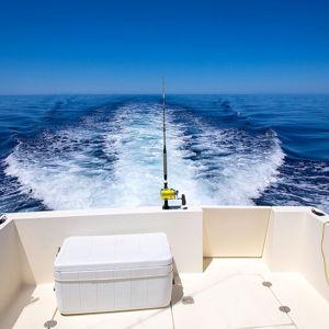 Honeymoon fishing charter!