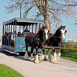Kentucky Horse Park