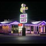 Purple Turtle