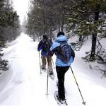 Estes Snowshoeing
