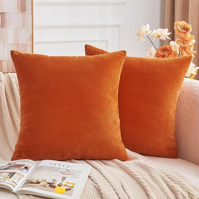 GriNeed Throw Pillow Covers Burnt Orange Set of 2 20x20 Inch Fall Pillow Covers, Soft Velvet Farmhouse Neutral Decorative Pillowcases for Couch Sofa Bed, Home Boho Decor, Modern Cushion Covers