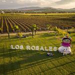 Viñedo Los Rosales