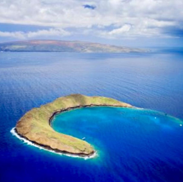 Honeymoon Snorkeling adventure