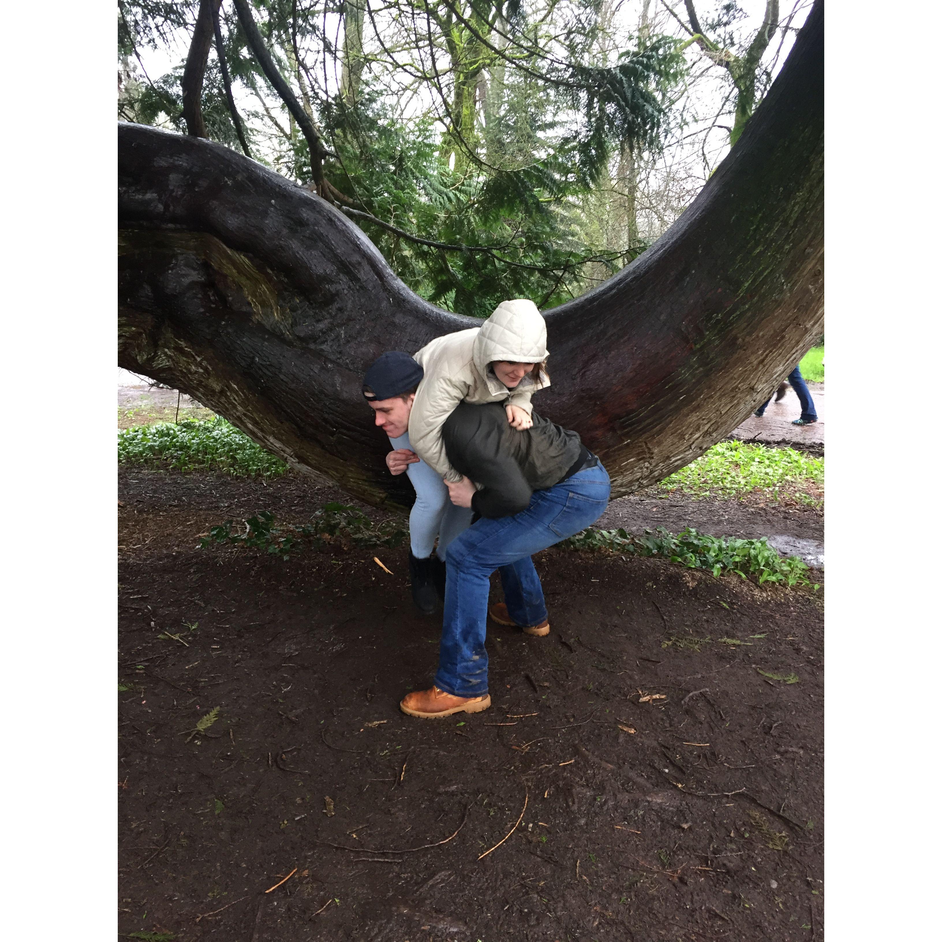 Thank you to Matron of Honor Emily St. John for capturing the process of getting Lindsey on a tree near Blarney Castle.
