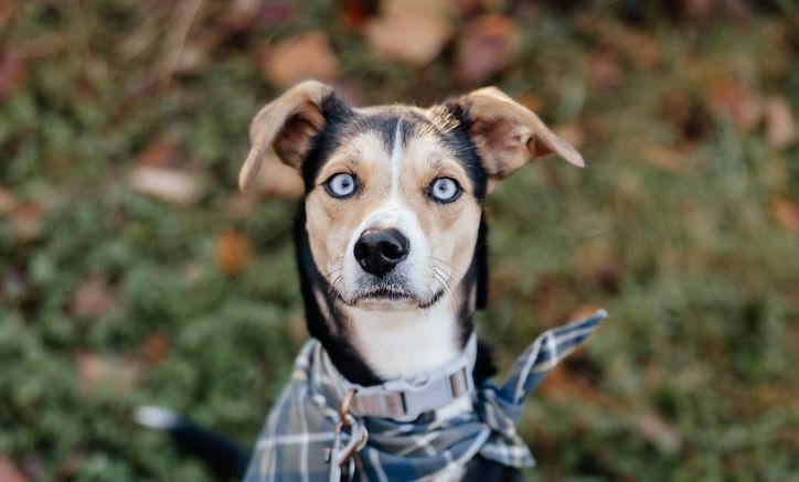 The Wedding Website of Casey Anderson and Cody Lewandowski