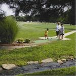 Mini Golf