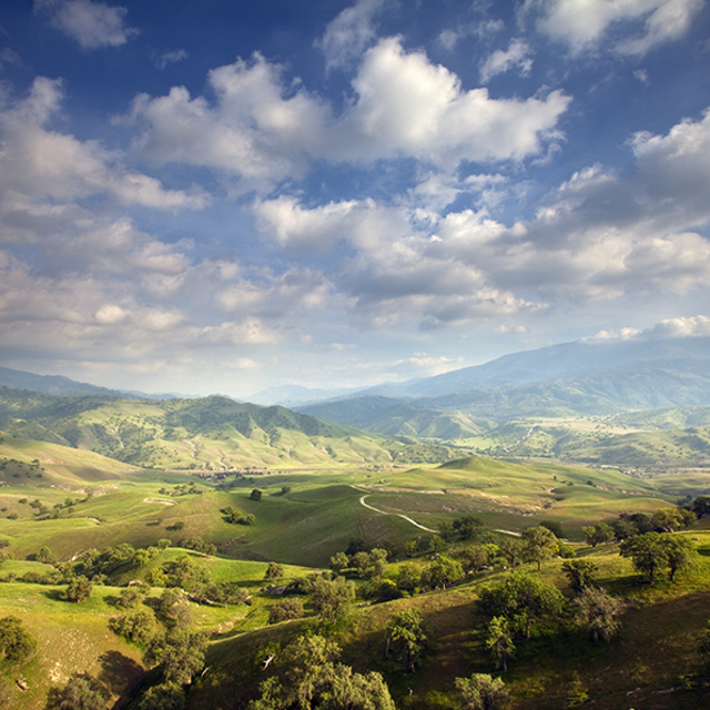 The Nature Conservancy