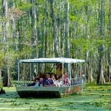 Cajun Encounters Tour Company
