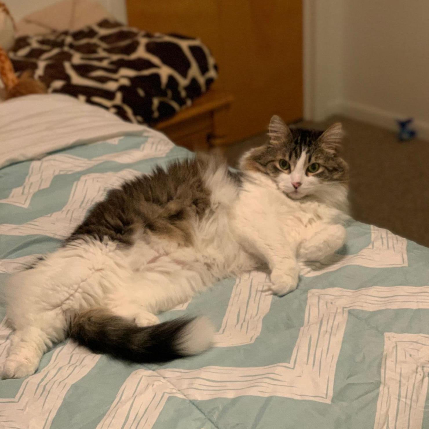 Max