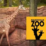 Nashville Zoo at Grassmere