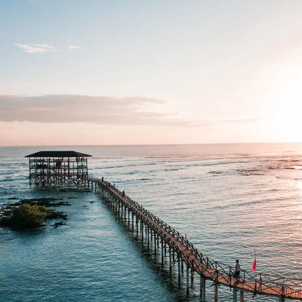 Surfboard Rentals For Our Honeymoon