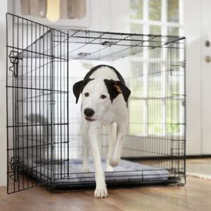 FRISCO Fold & Carry Single Door Collapsible Wire Dog Crate & Mat Kit, X-Large - Chewy.com