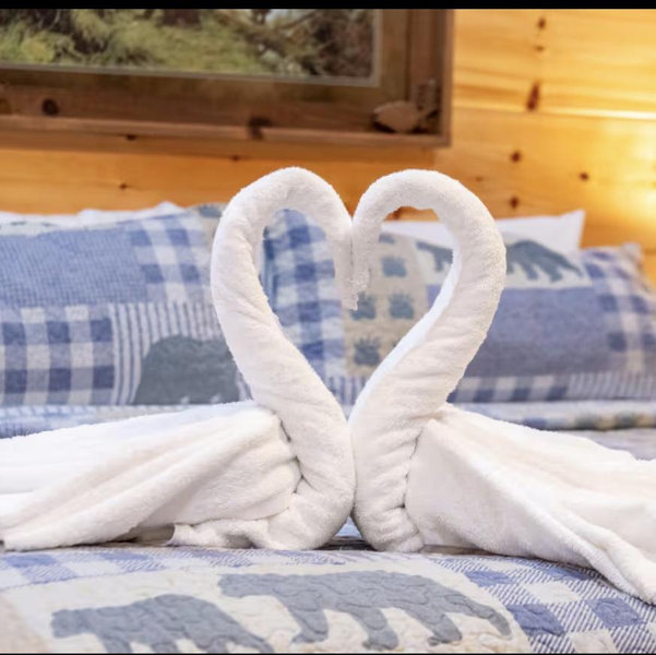 Honeymoon Funds!