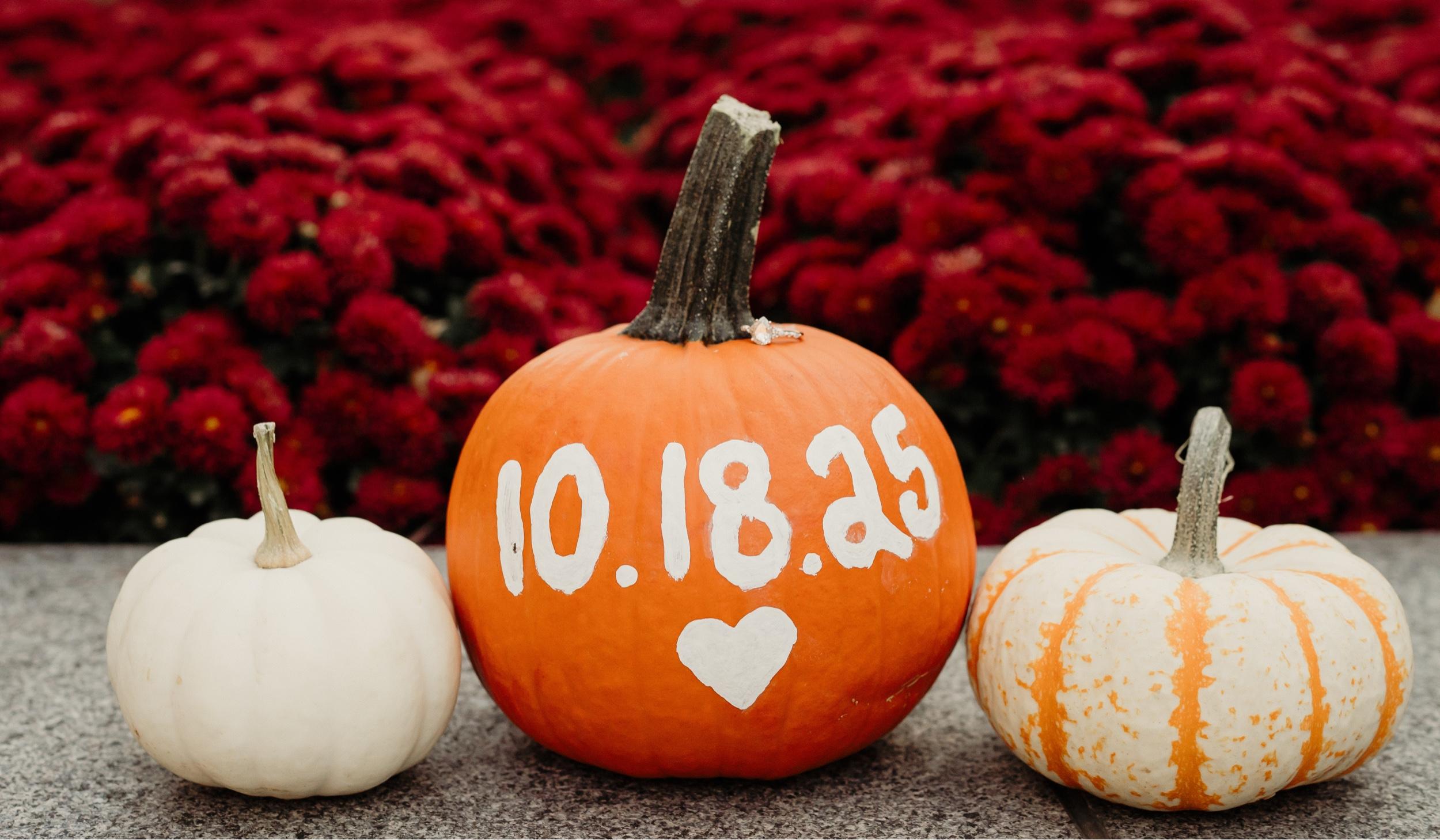 The Wedding Website of Breezy Kemper and Sayre Leinbach