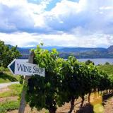 Wine Tours